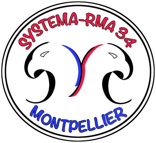 Logo Systema-RMA34